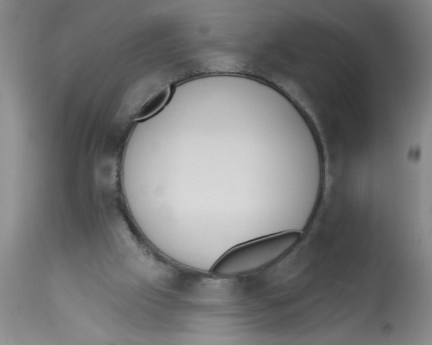 X0000112840057200909181722