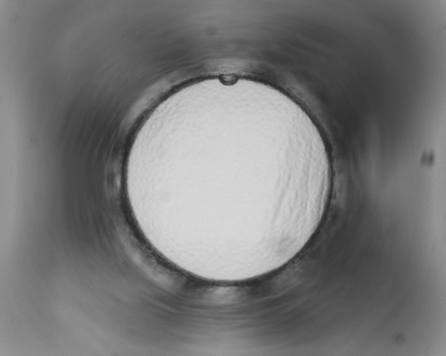 X0000112840059200909181722