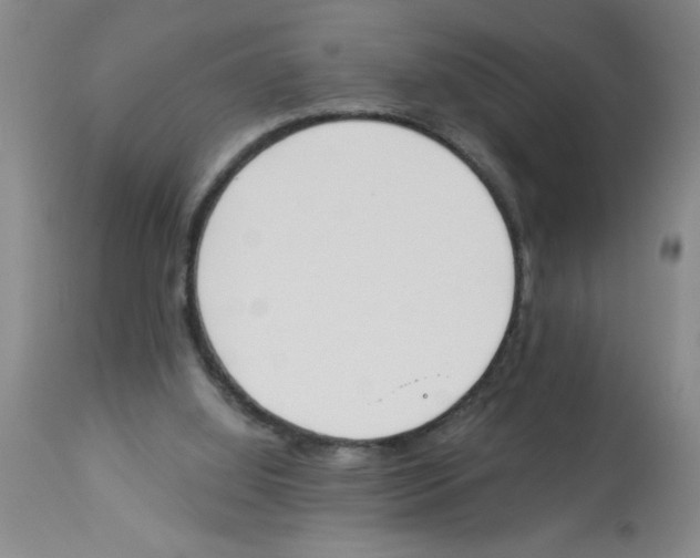 X0000112840060200909181722