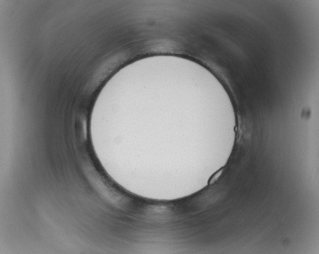 X0000112840061200909181722