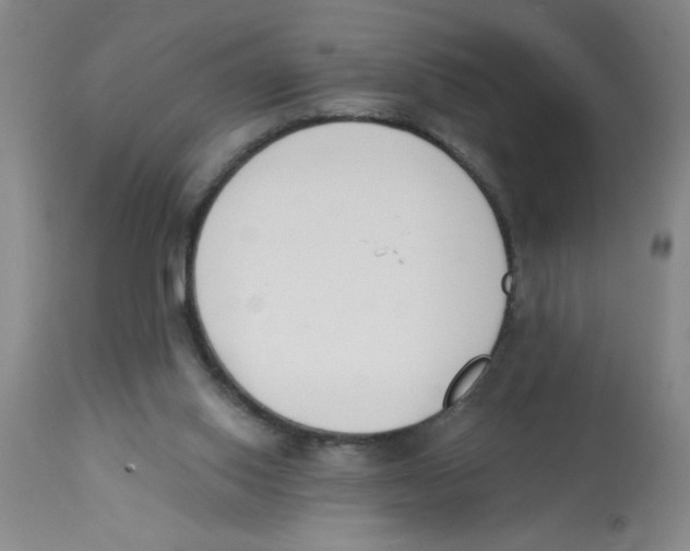 X0000112840062200909181722