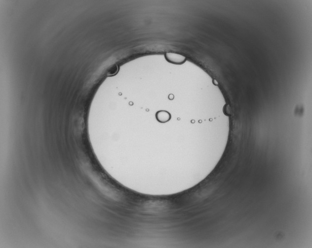 X0000112840063200909181722