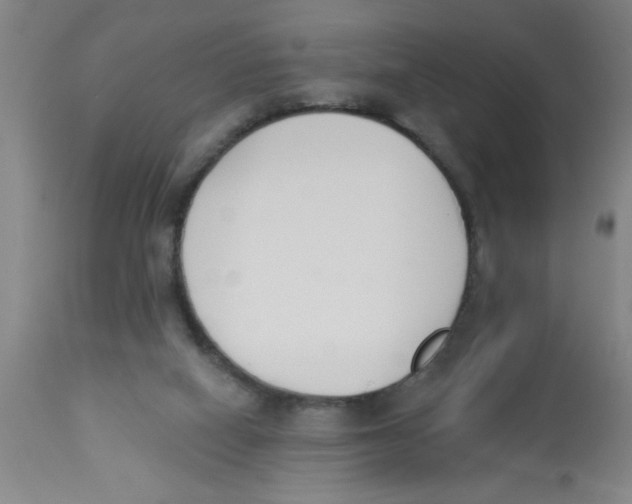 X0000112840066200909181722