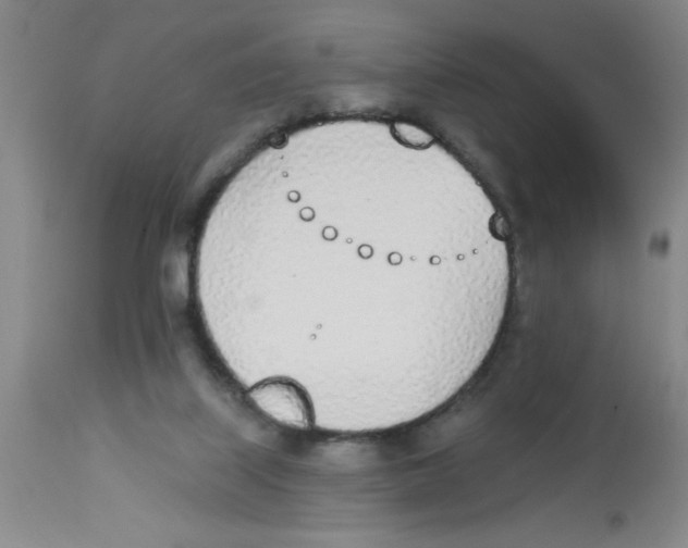 X0000112840067200909181722