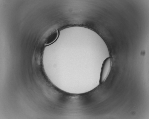 X0000112840068200909181722