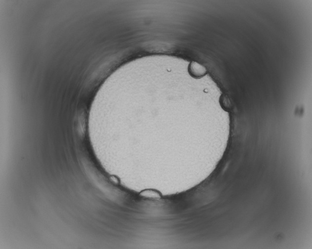 X0000112840069200909181722