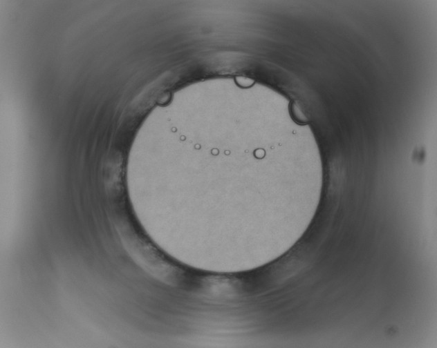 X0000112840073200909181722