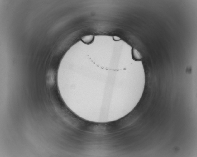 X0000112840075200909181722