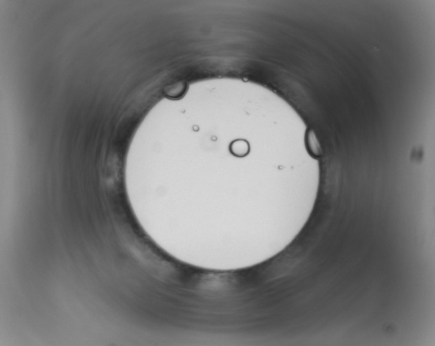 X0000112840077200909181722