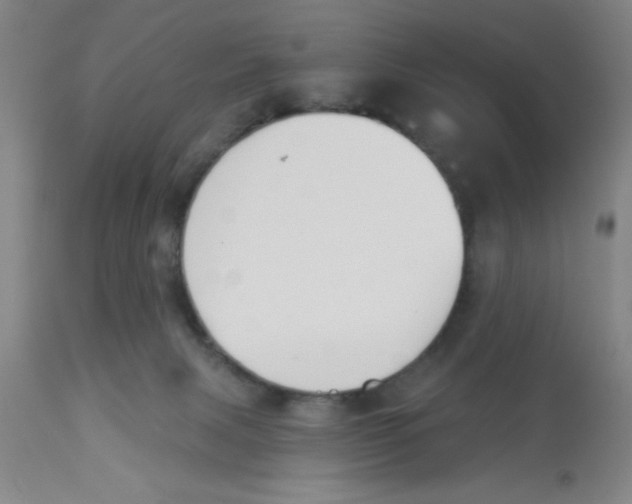 X0000112840079200909181722