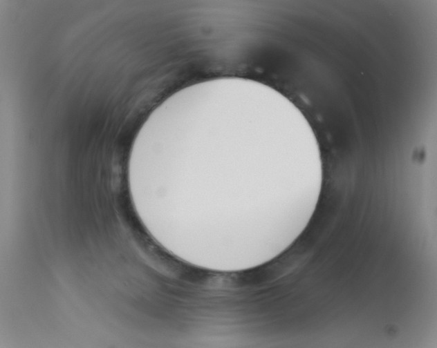 X0000112840080200909181722