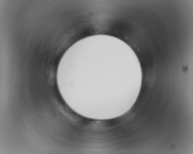 X0000112840082200909181722