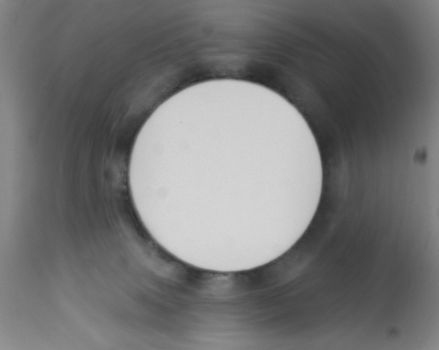 X0000112840083200909181722