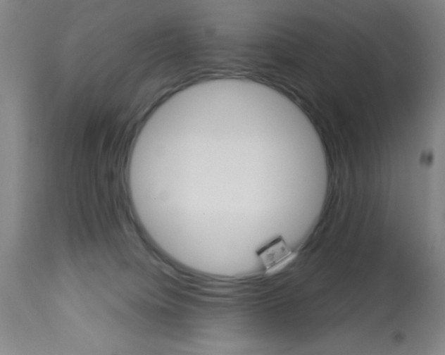 X0000112840084200909181722