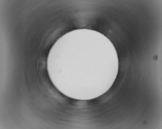 X0000112840085200909181722