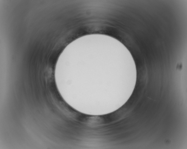 X0000112840087200909181722