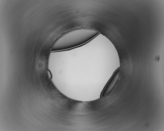 X0000112840092200909181722