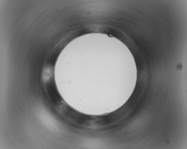 X0000112840095200909181722