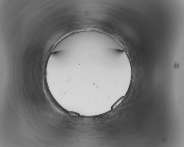 X0000112840097200909181722