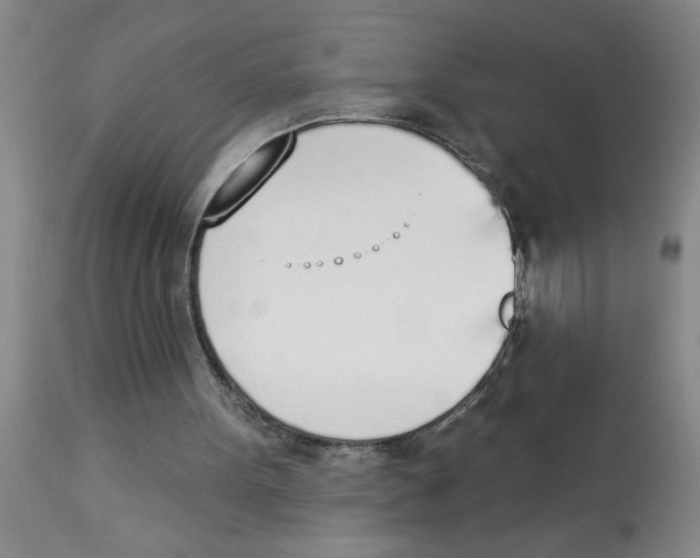 X0000112840099200909181722