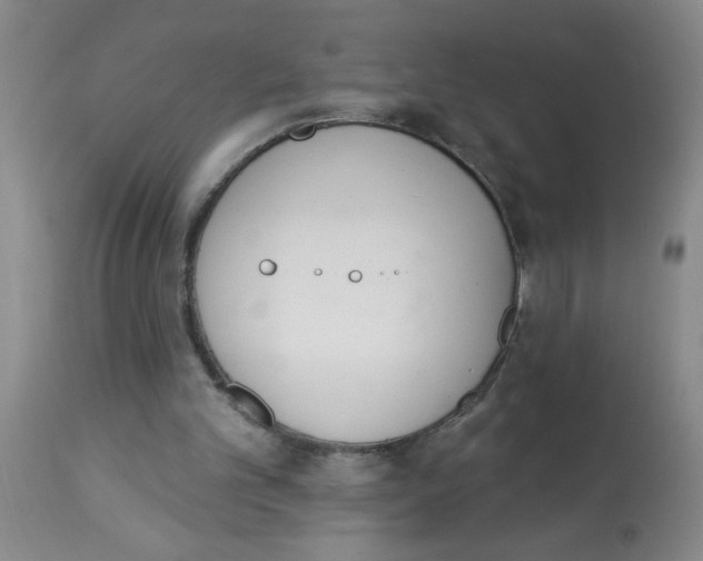 X0000112840101200909181722