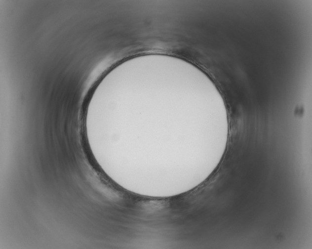 X0000112840102200909181722