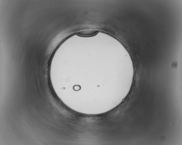 X0000112840103200909181722