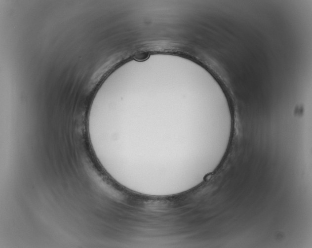 X0000112840105200909181722