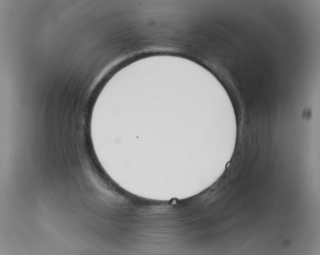 X0000112840108200909181722