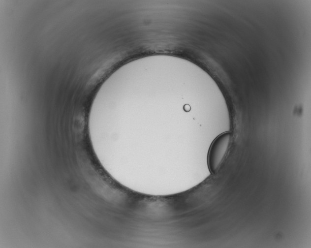 X0000112840113200909181722