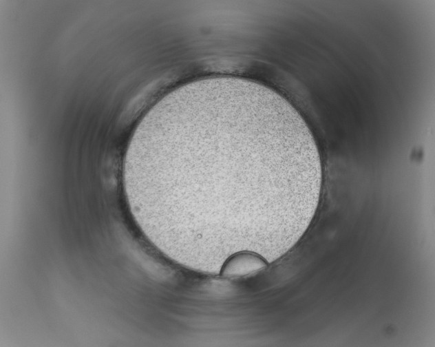 X0000112840114200909181722