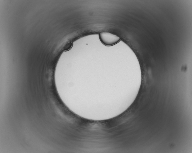 X0000112840115200909181722