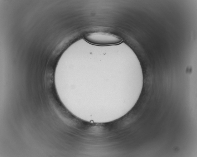 X0000112840119200909181722