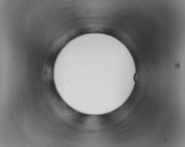 X0000112840123200909181721