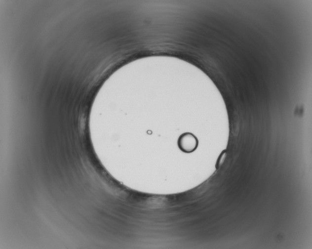 X0000112840124200909181721