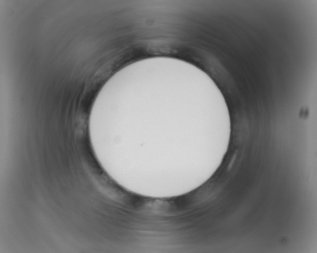 X0000112840125200909181721