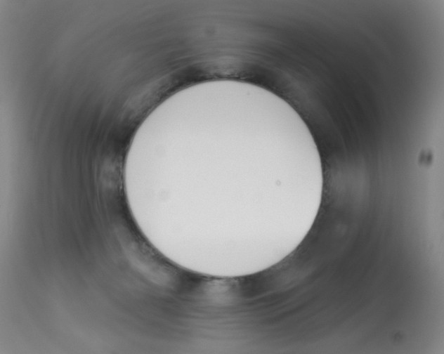 X0000112840126200909181721