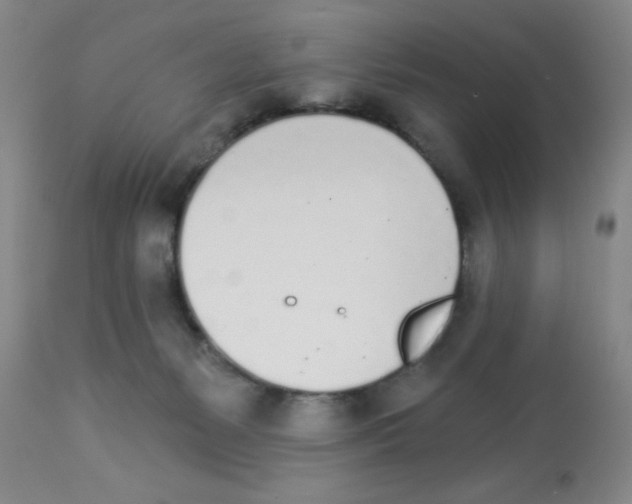 X0000112840127200909181721