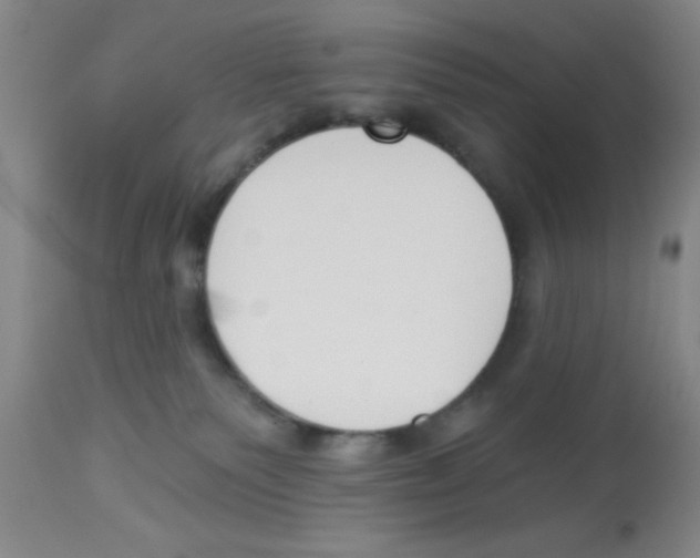 X0000112840135200909181721