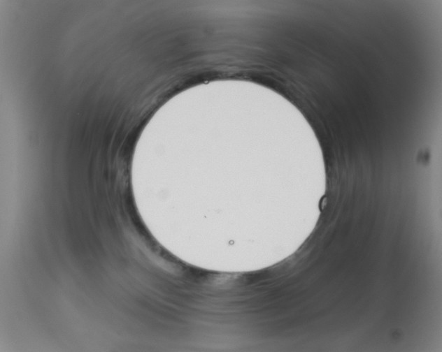 X0000112840136200909181721