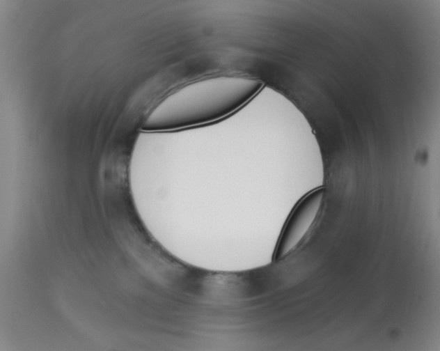 X0000112840137200909181721