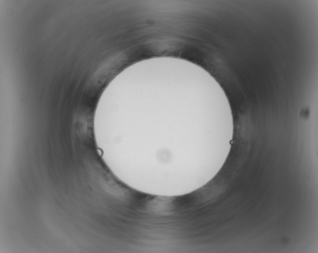 X0000112840138200909181721