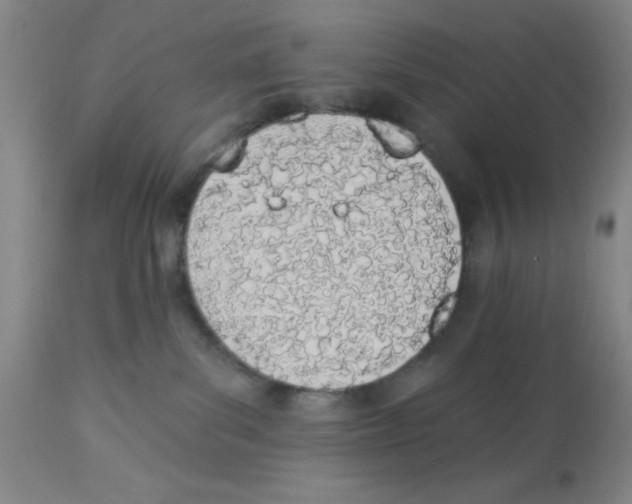 X0000112840139200909181721