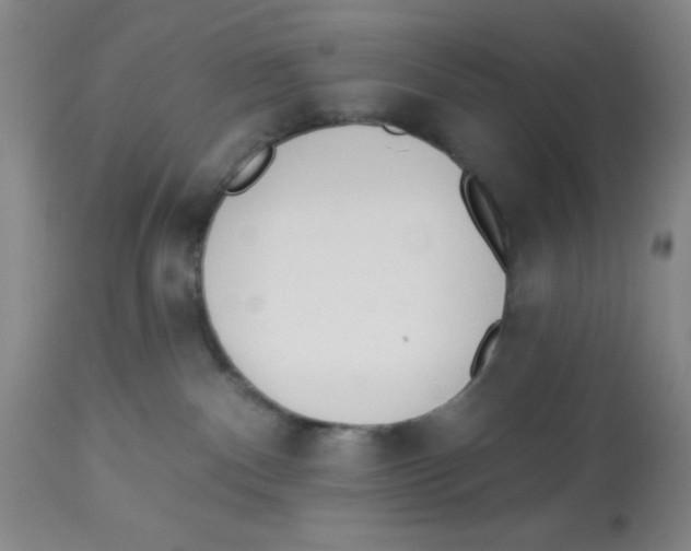 X0000112840140200909181721