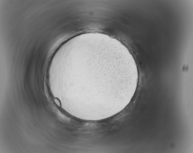 X0000112840145200909181721