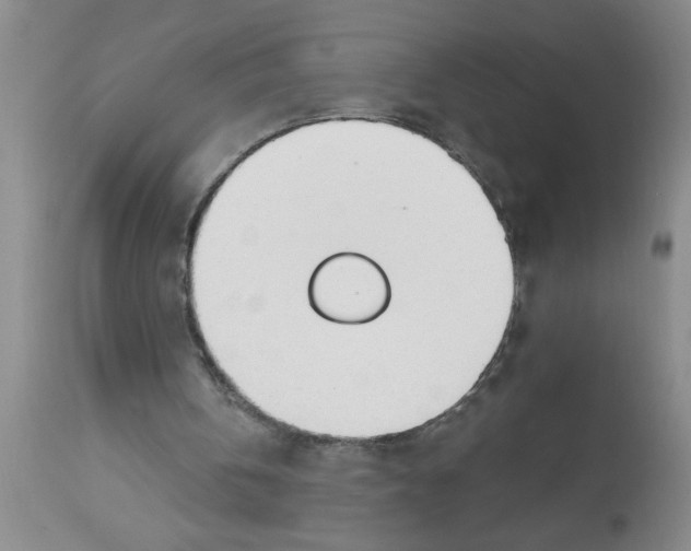 X0000112840146200909181721