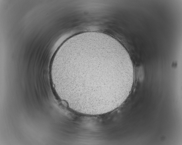 X0000112840147200909181721