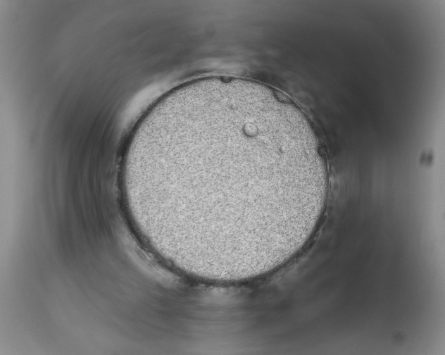 X0000112840149200909181721