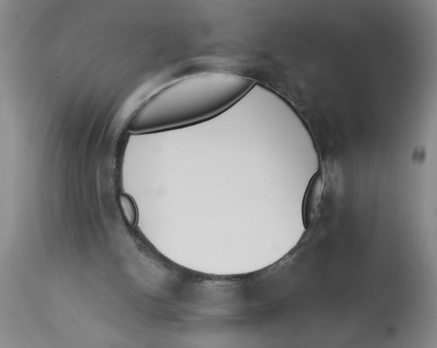 X0000112840150200909181721