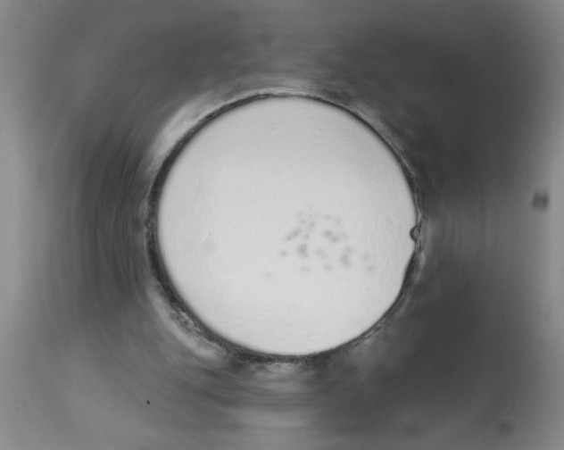 X0000112840151200909181721